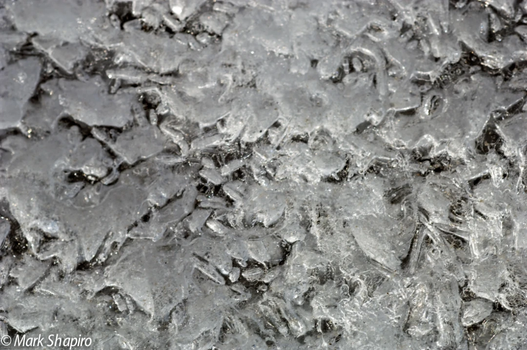 Elements-Ground Frost-148