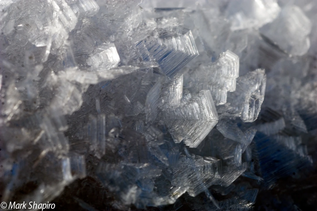 Elements-Ground Frost-153