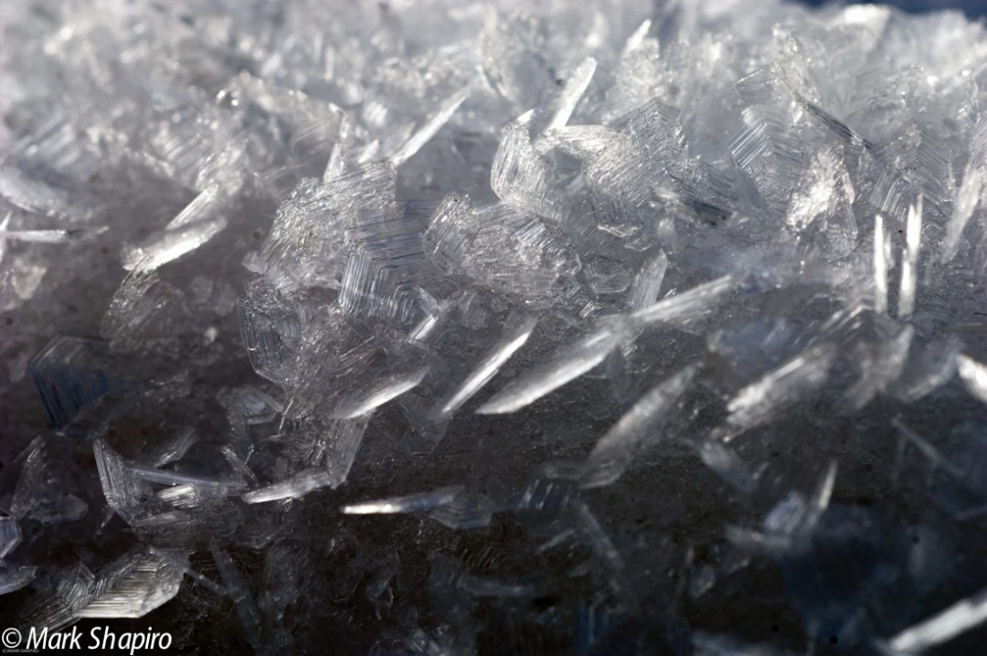 Elements-Ground Frost-154