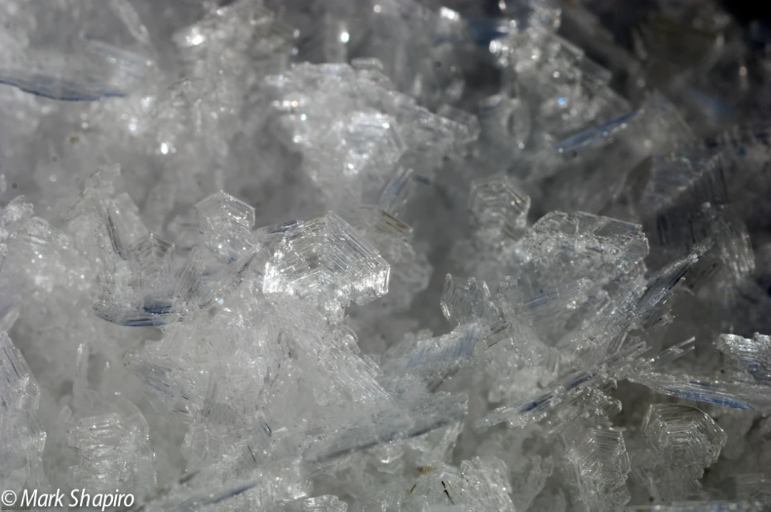 Elements-Ground Frost-158
