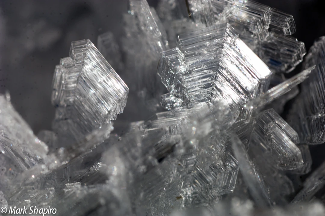 Elements-Ground Frost-159