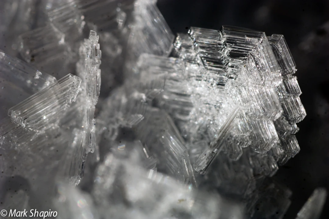 Elements-Ground Frost-160