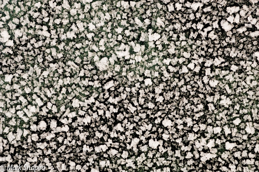 Elements-Ground Frost-16