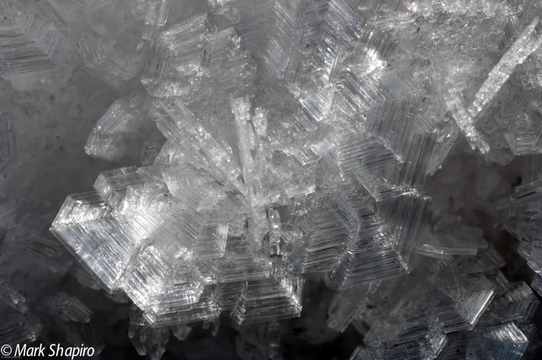 Elements-Ground Frost-162
