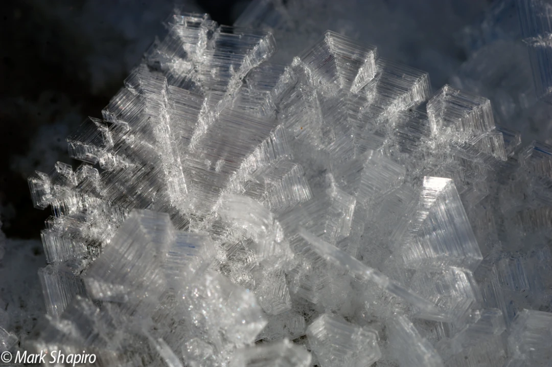 Elements-Ground Frost-163