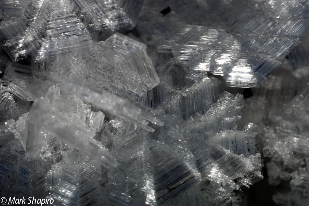 Elements-Ground Frost-165