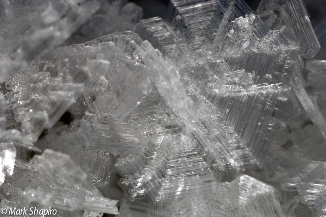 Elements-Ground Frost-166
