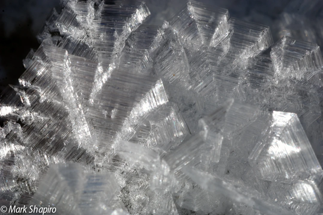 Elements-Ground Frost-167