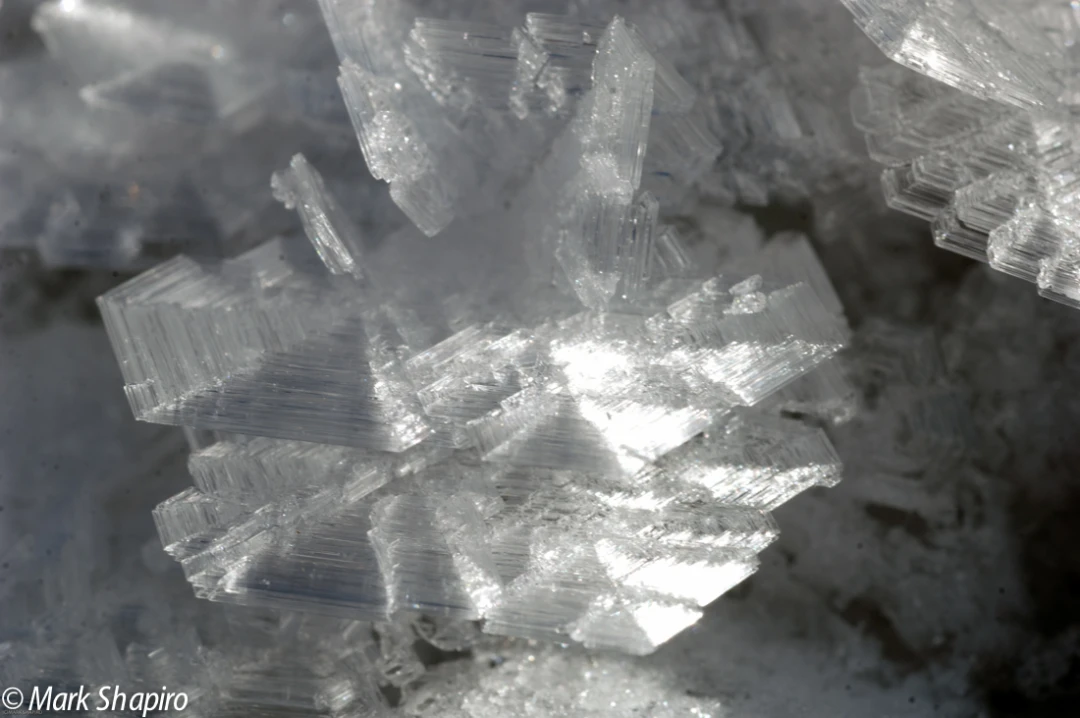 Elements-Ground Frost-171