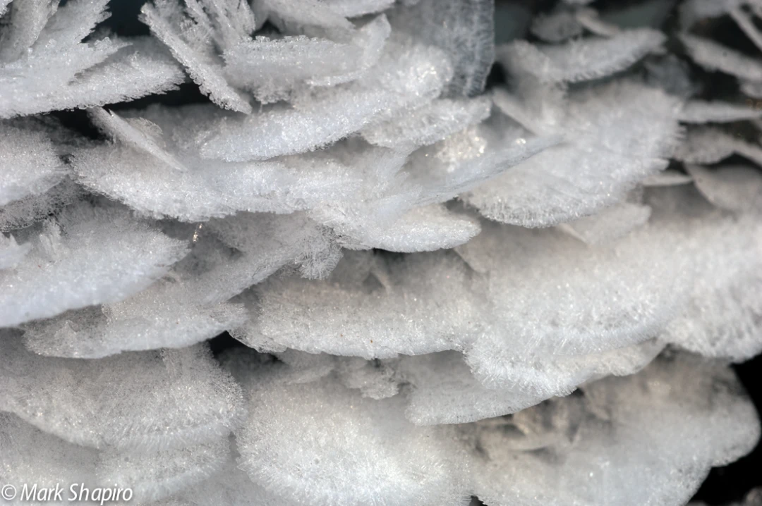Elements-Ground Frost-17