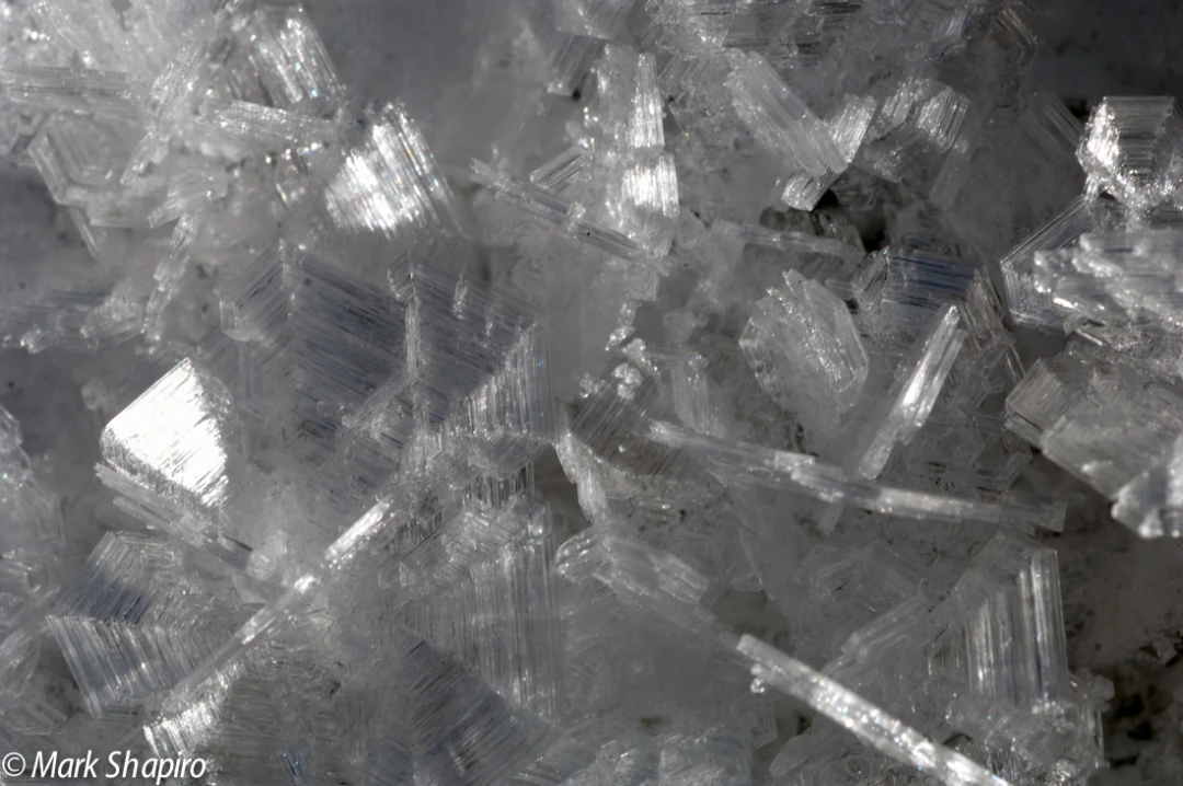 Elements-Ground Frost-172