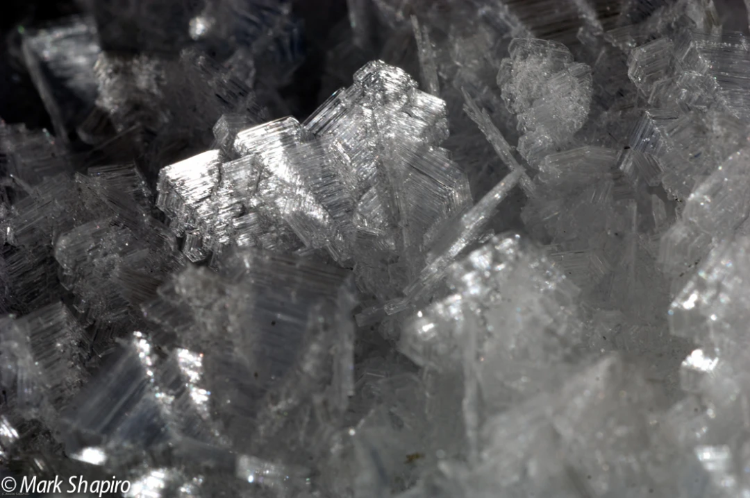 Elements-Ground Frost-174