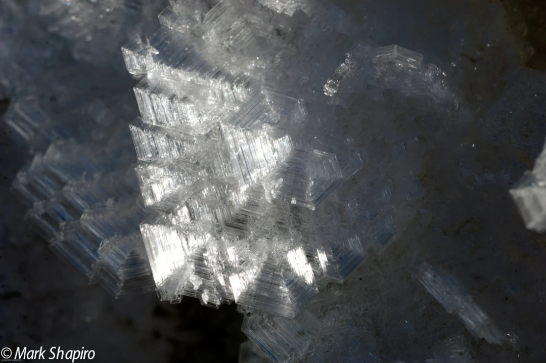 Elements-Ground Frost-175