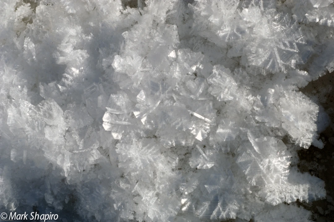 Elements-Ground Frost-178