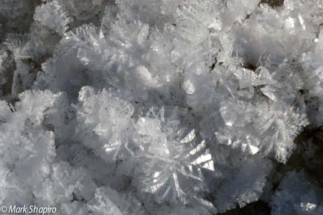 Elements-Ground Frost-179