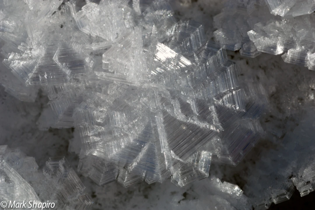 Elements-Ground Frost-180