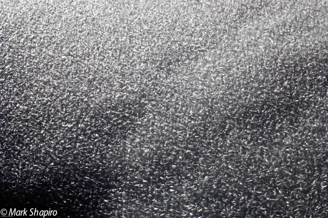 Elements-Ground Frost-181