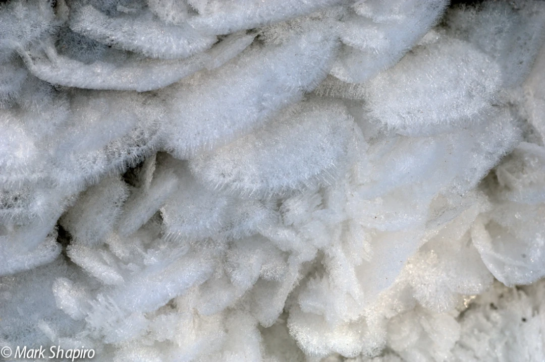 Elements-Ground Frost-18