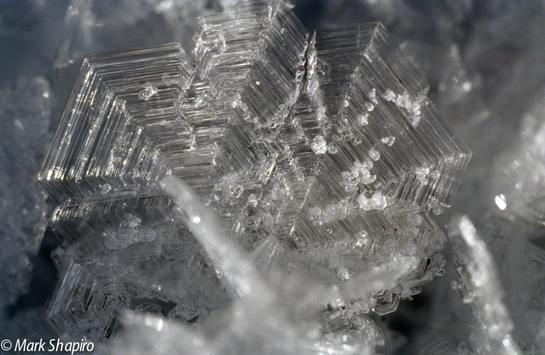 Elements-Ground Frost-182