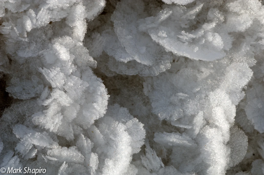 Elements-Ground Frost-184