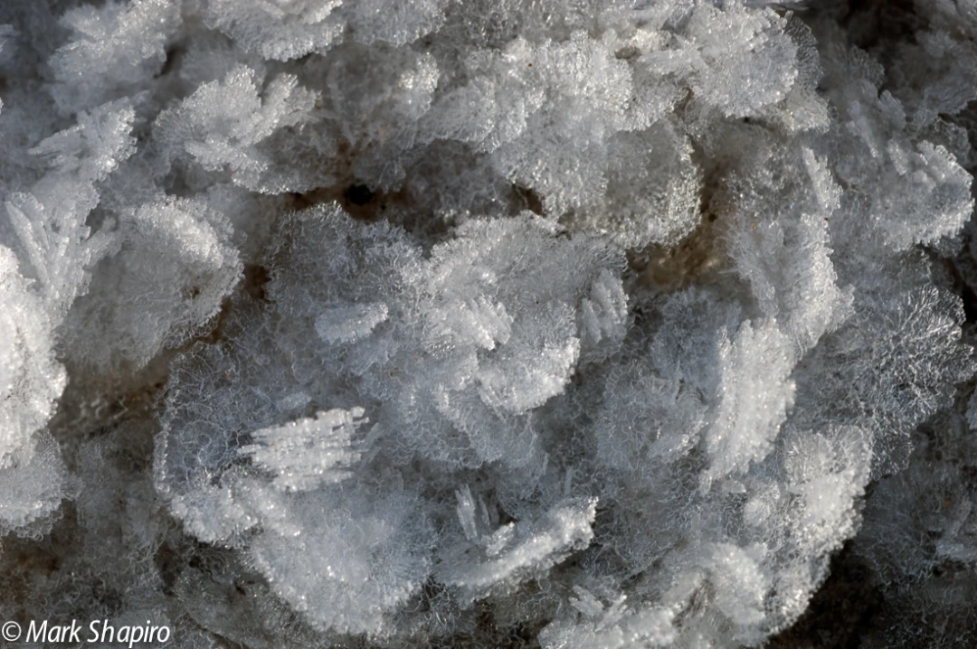 Elements-Ground Frost-186