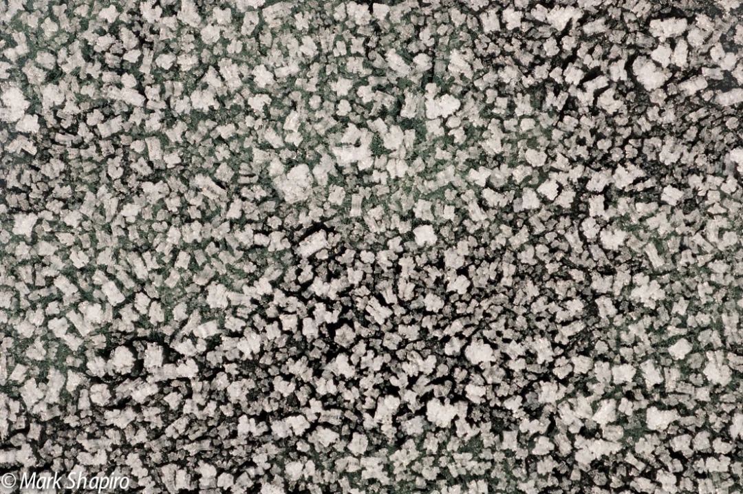 Elements-Ground Frost-187