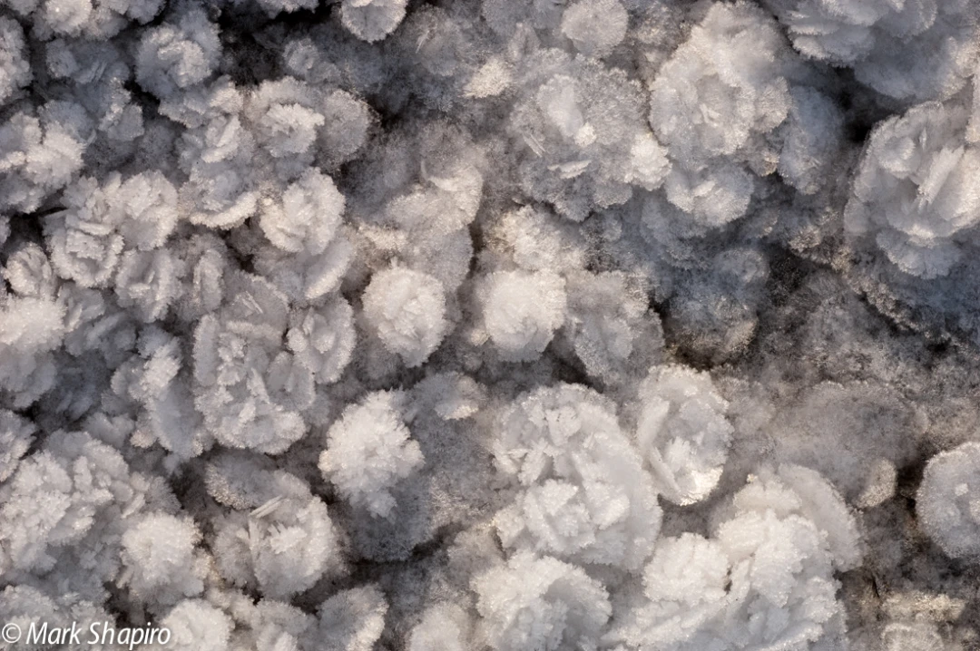 Elements-Ground Frost-189