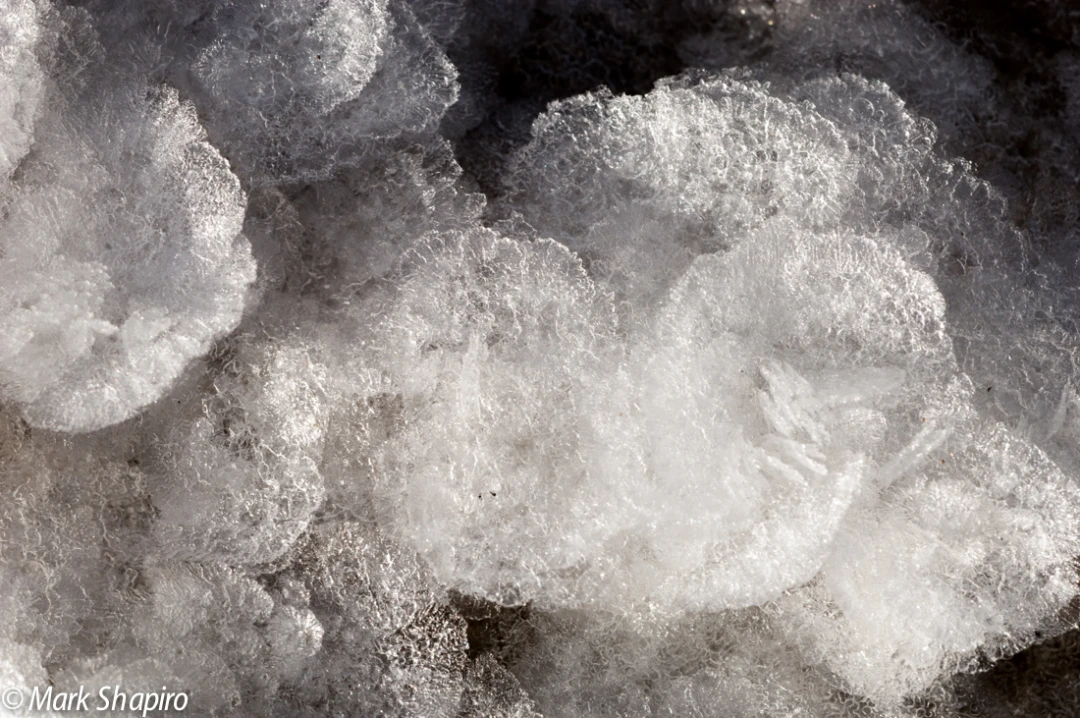 Elements-Ground Frost-191