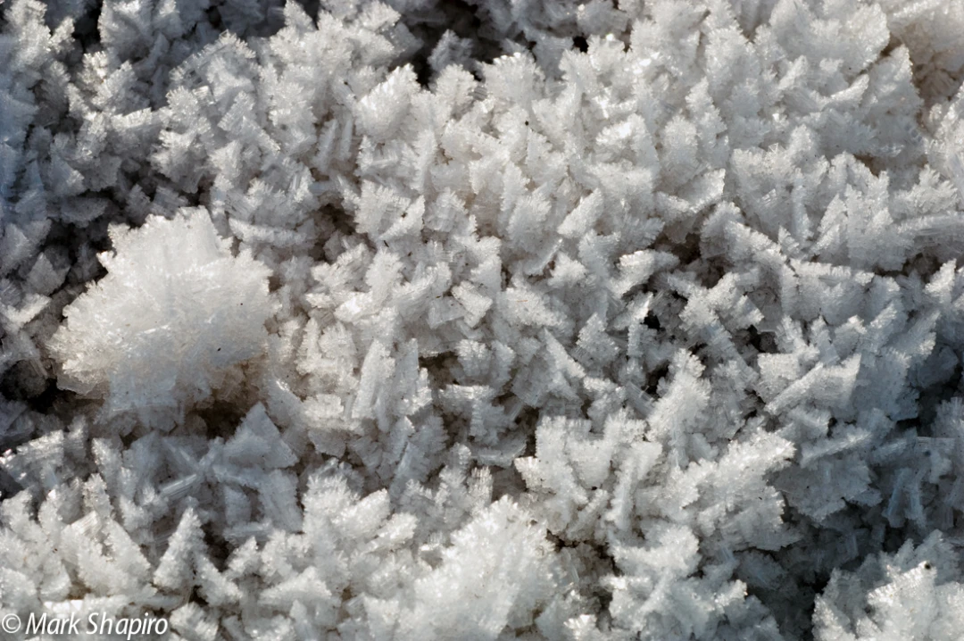 Elements-Ground Frost-19