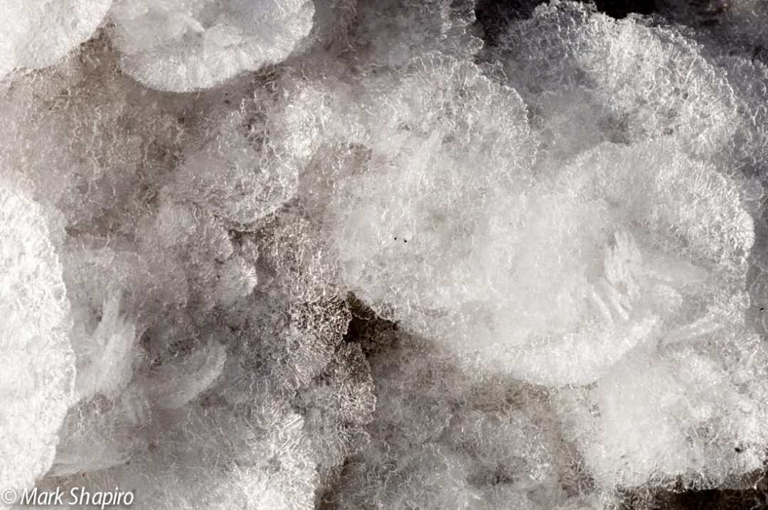 Elements-Ground Frost-192