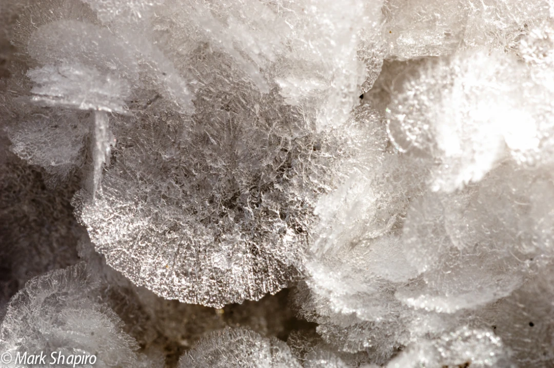 Elements-Ground Frost-193
