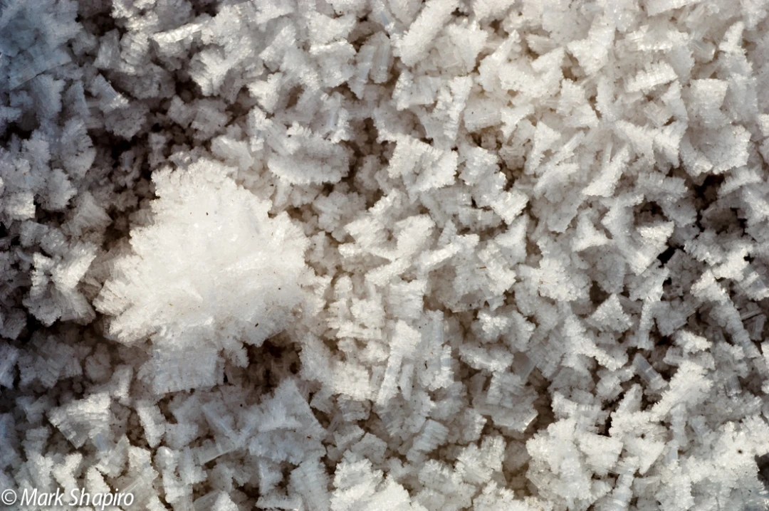 Elements-Ground Frost-20