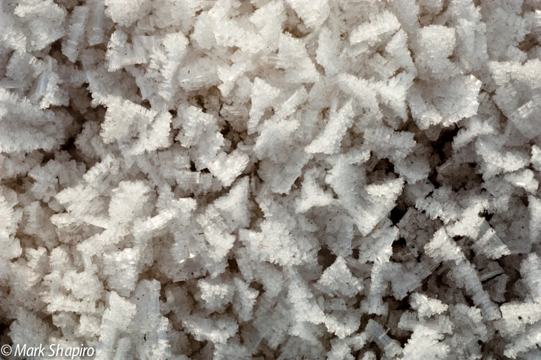Elements-Ground Frost-21