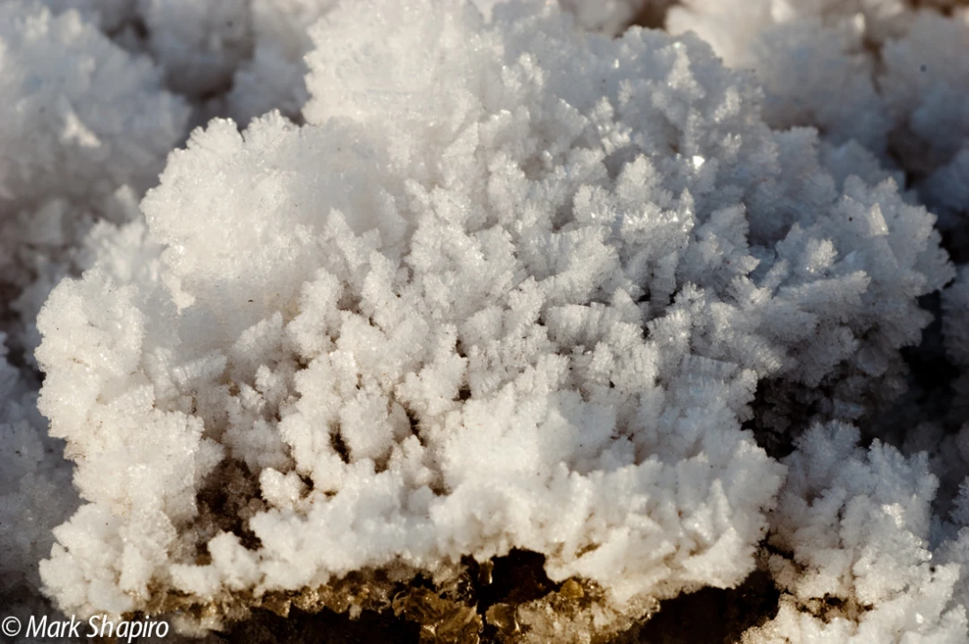 Elements-Ground Frost-22