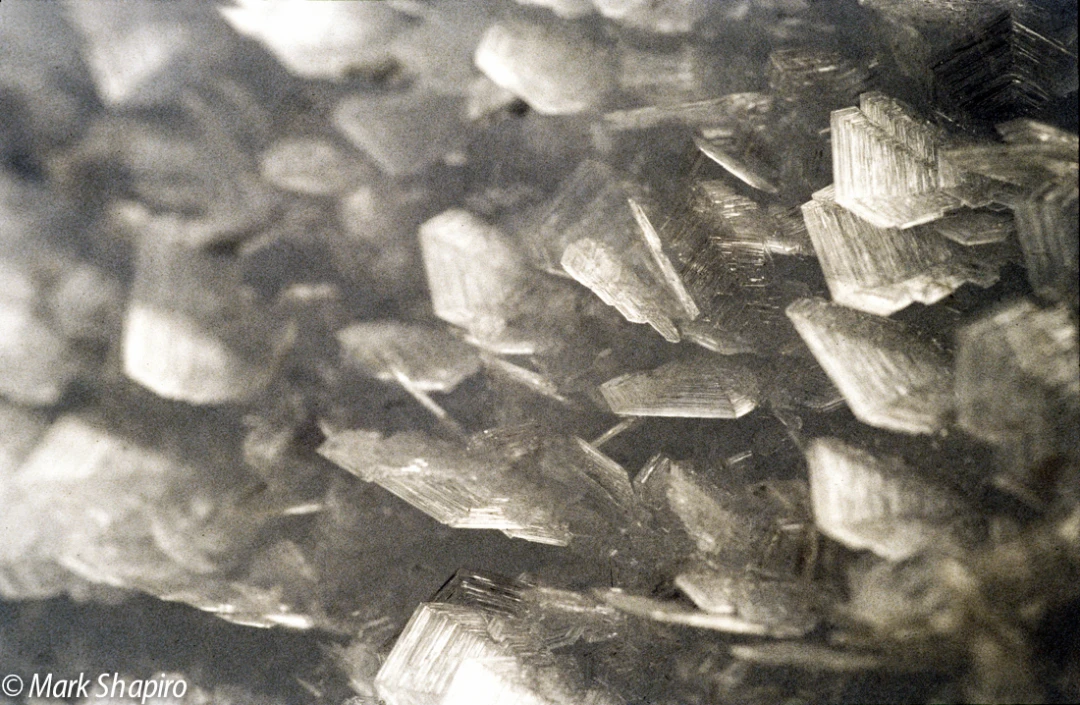 Elements-Ground Frost-23