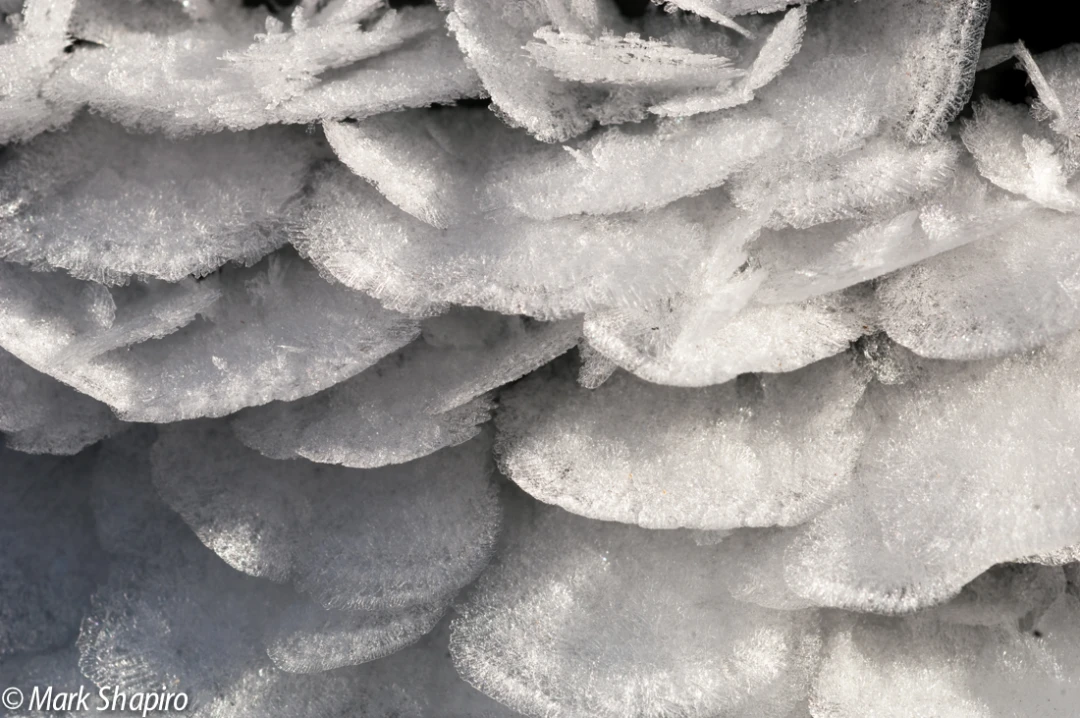 Elements-Ground Frost-27