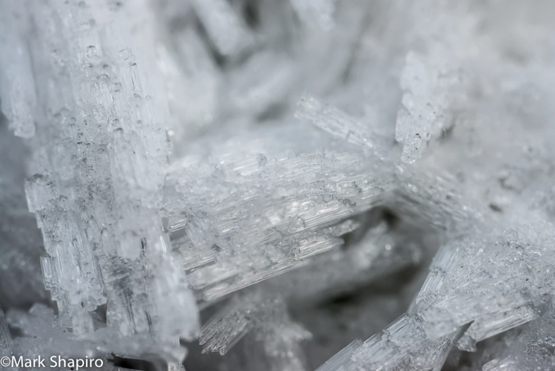Elements-Ground Frost-273
