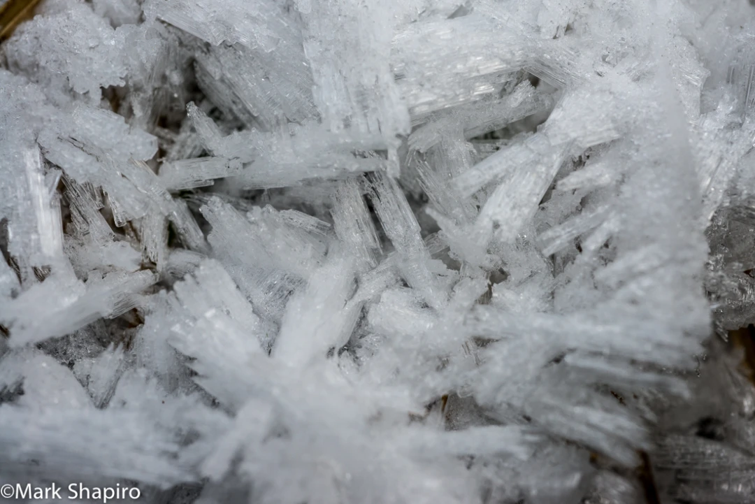 Elements-Ground Frost-274