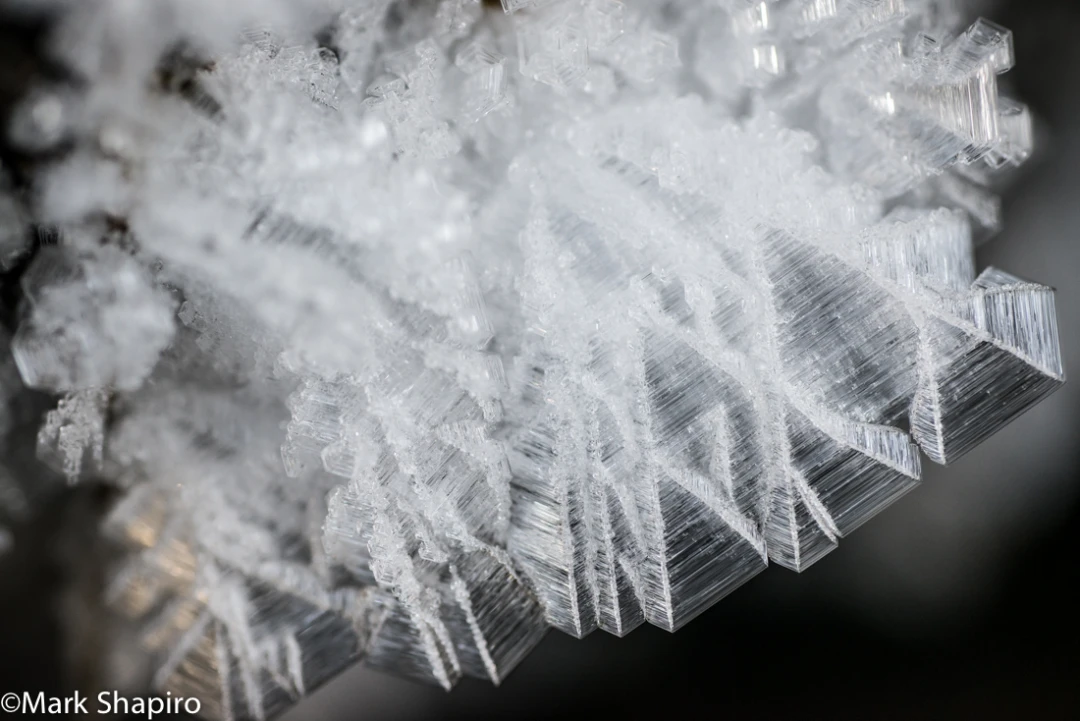 Elements-Ground Frost-277