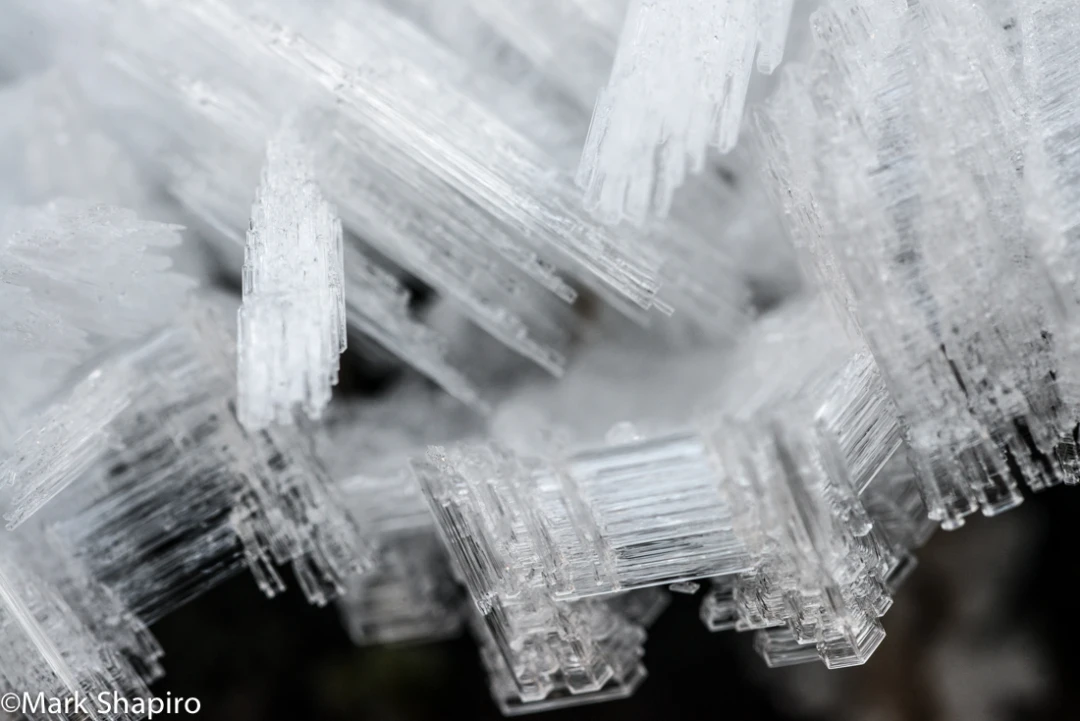 Elements-Ground Frost-279