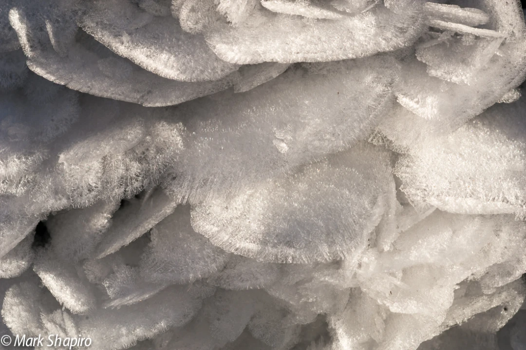 Elements-Ground Frost-28