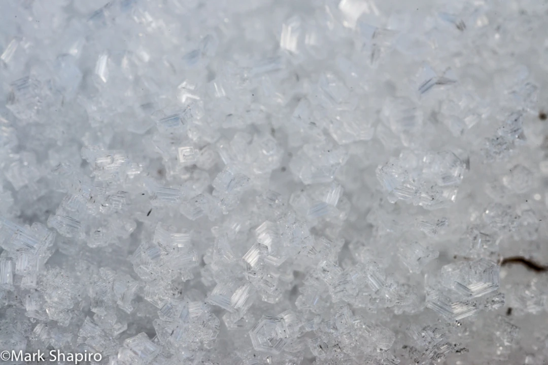 Elements-Ground Frost-283