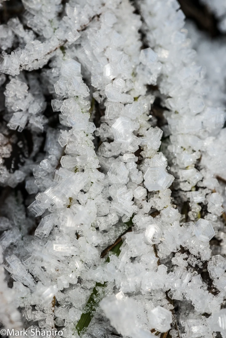 Elements-Ground Frost-287