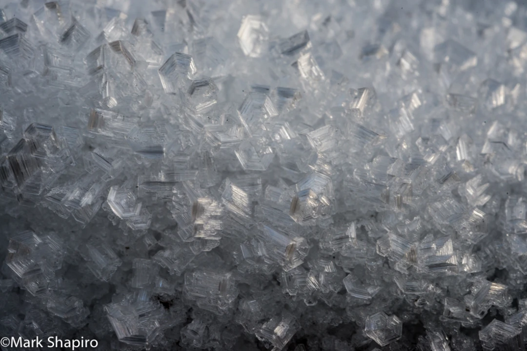 Elements-Ground Frost-291