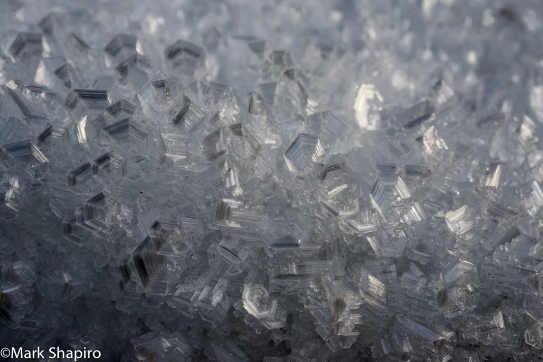 Elements-Ground Frost-292
