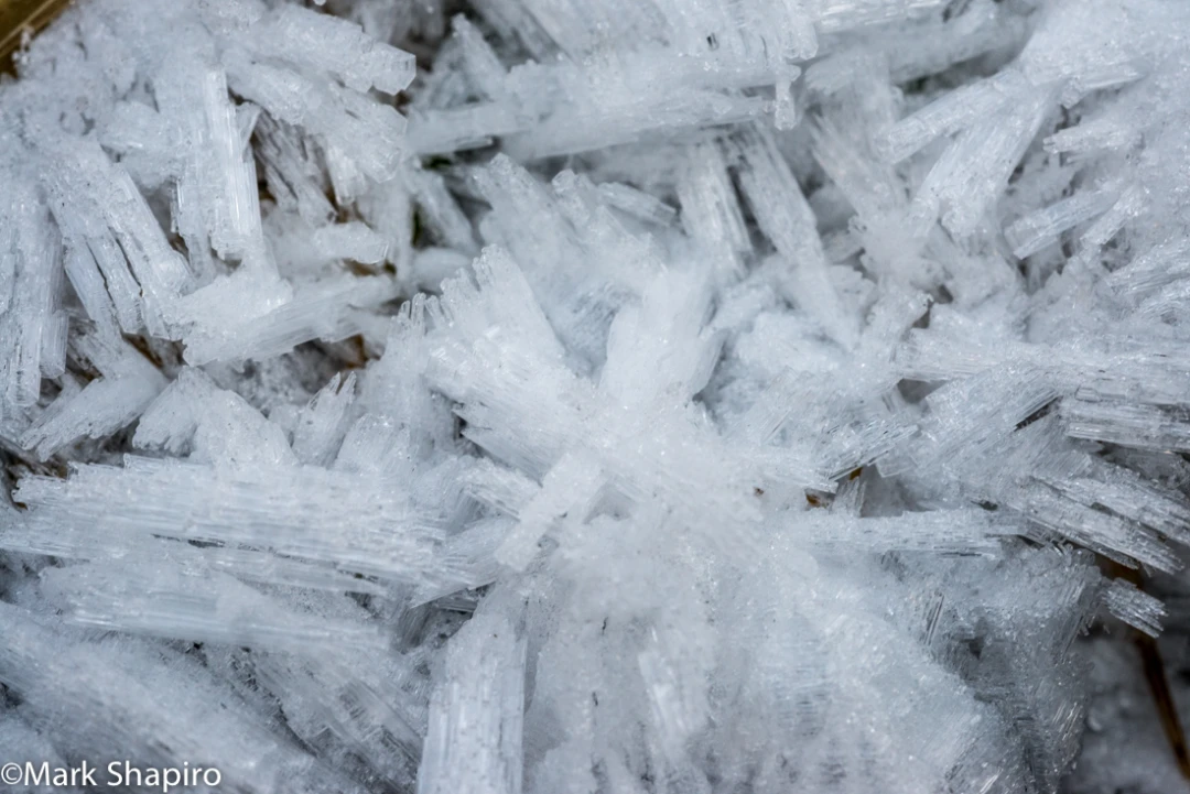 Elements-Ground Frost-295