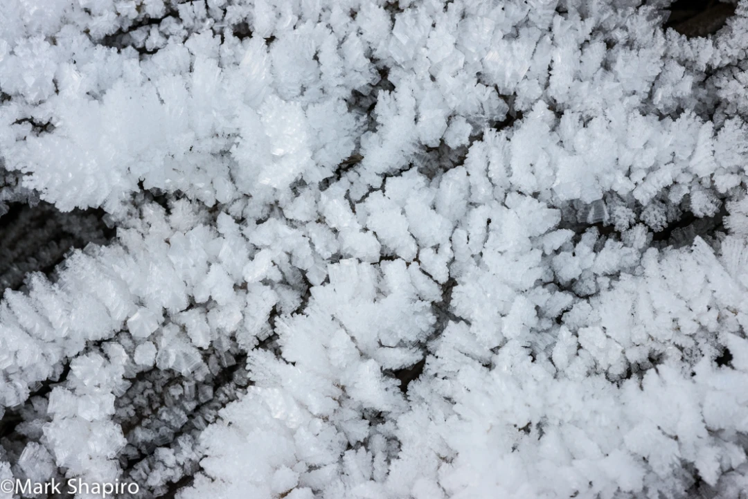 Elements-Ground Frost-296