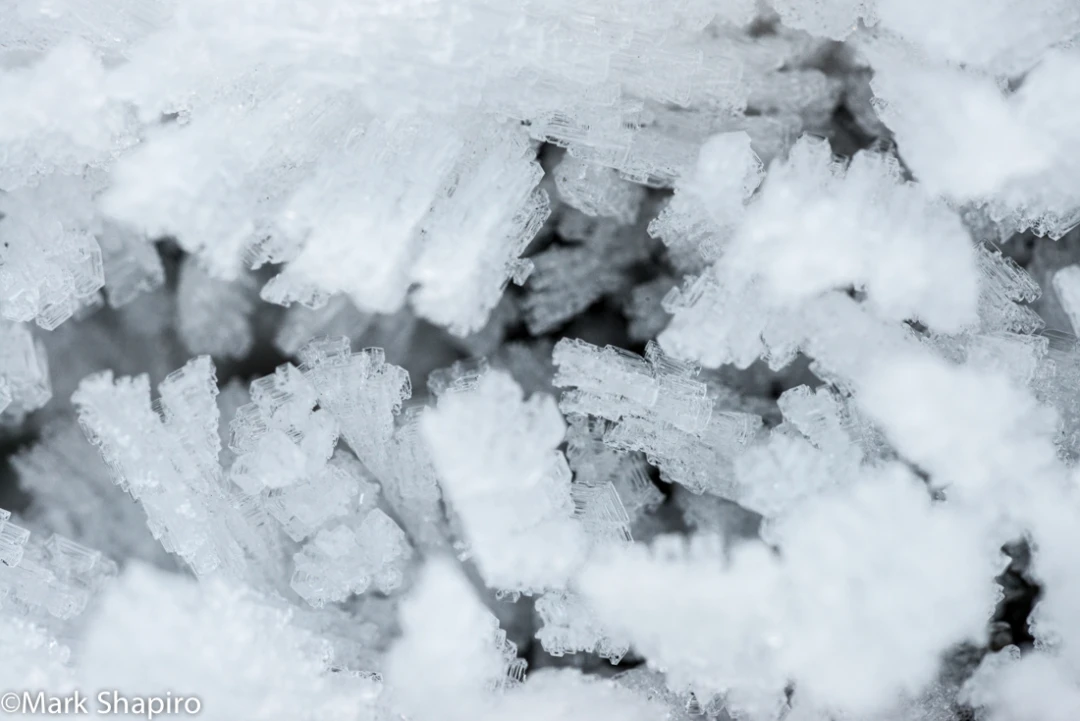 Elements-Ground Frost-298