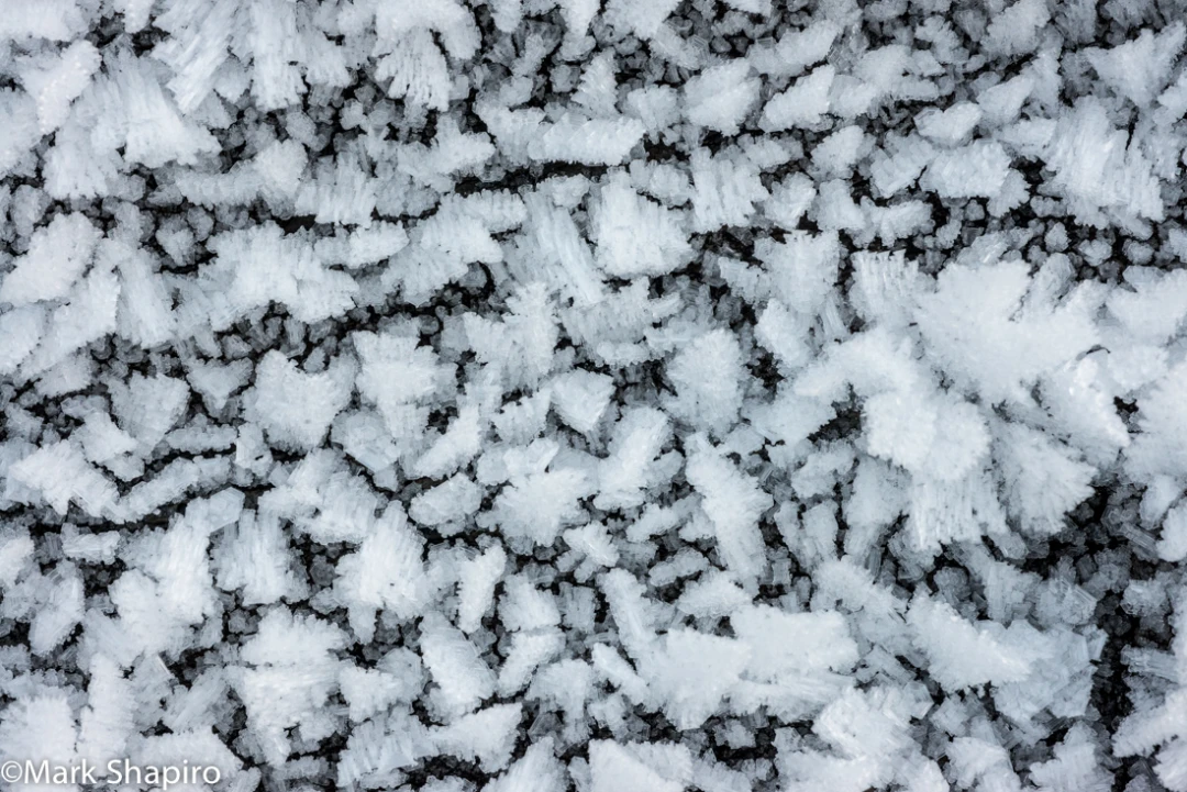 Elements-Ground Frost-304