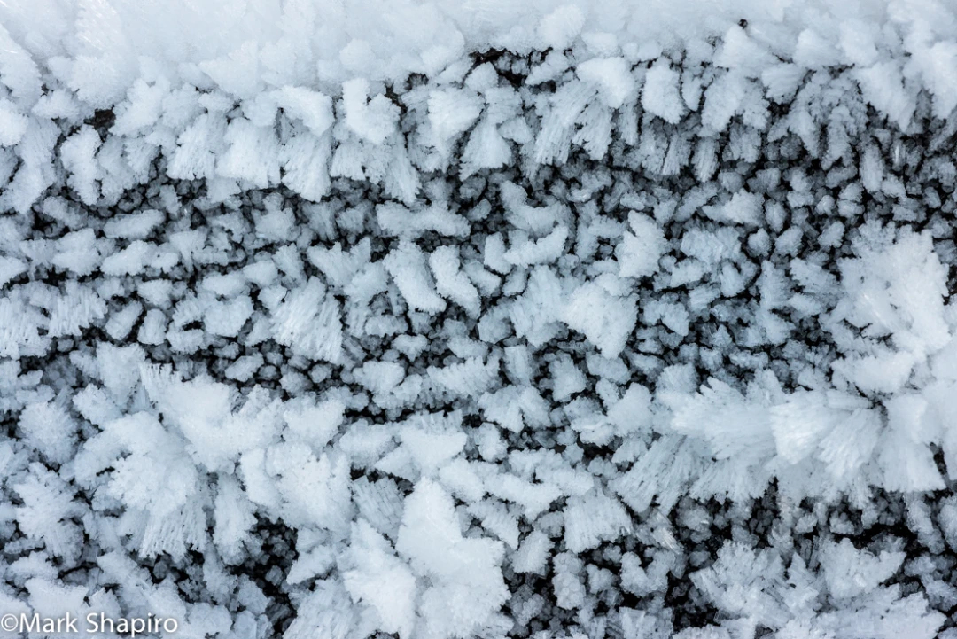 Elements-Ground Frost-308